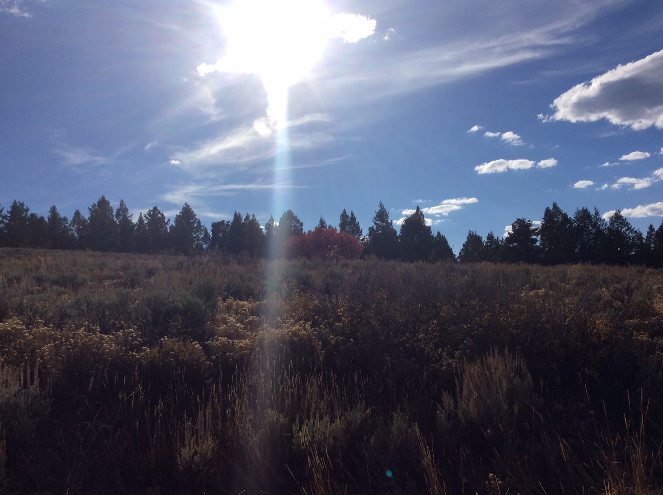 Home Soldier Summit Estates