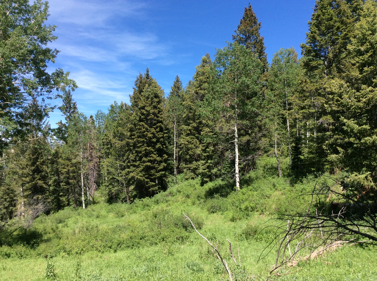 Home Soldier Summit Estates