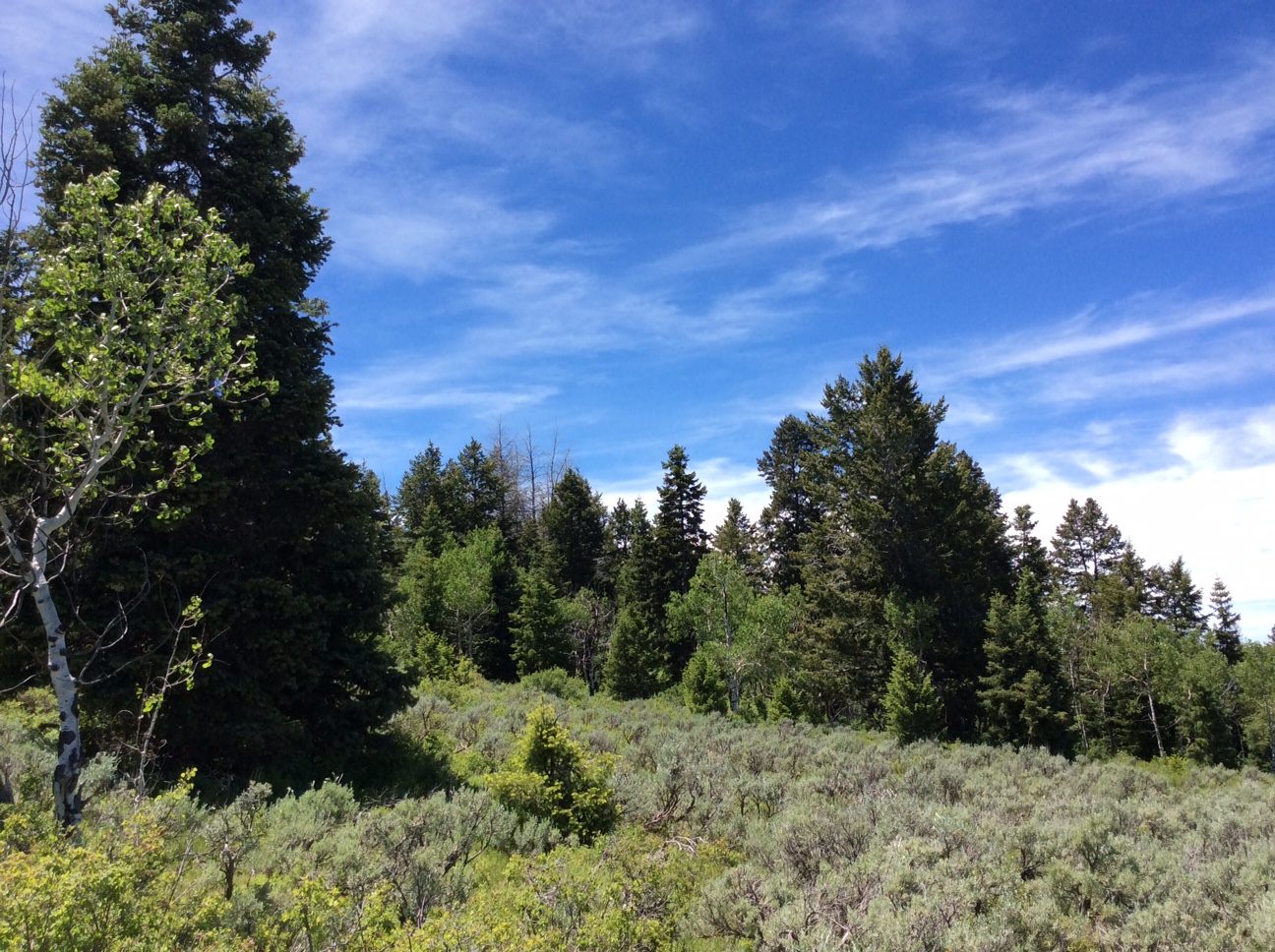 Home Soldier Summit Estates