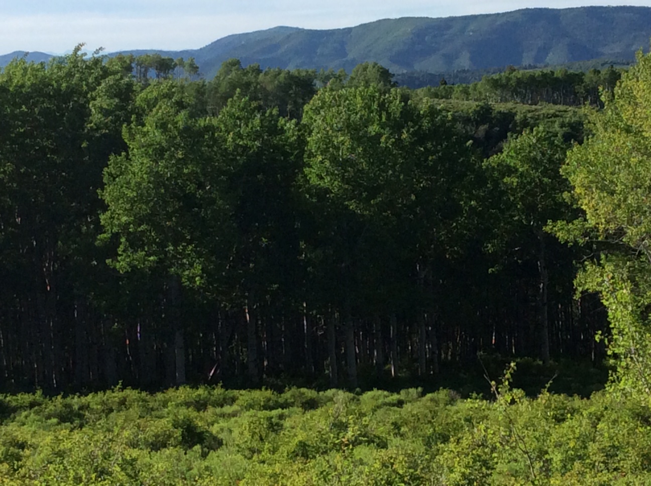 Home Soldier Summit Estates